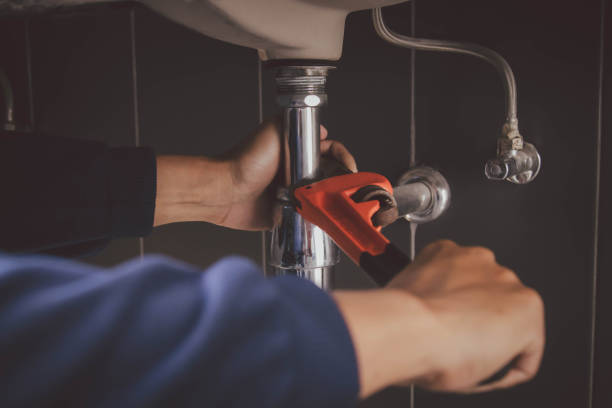 Best Plumbing Inspection Services  in Pinewood, FL
